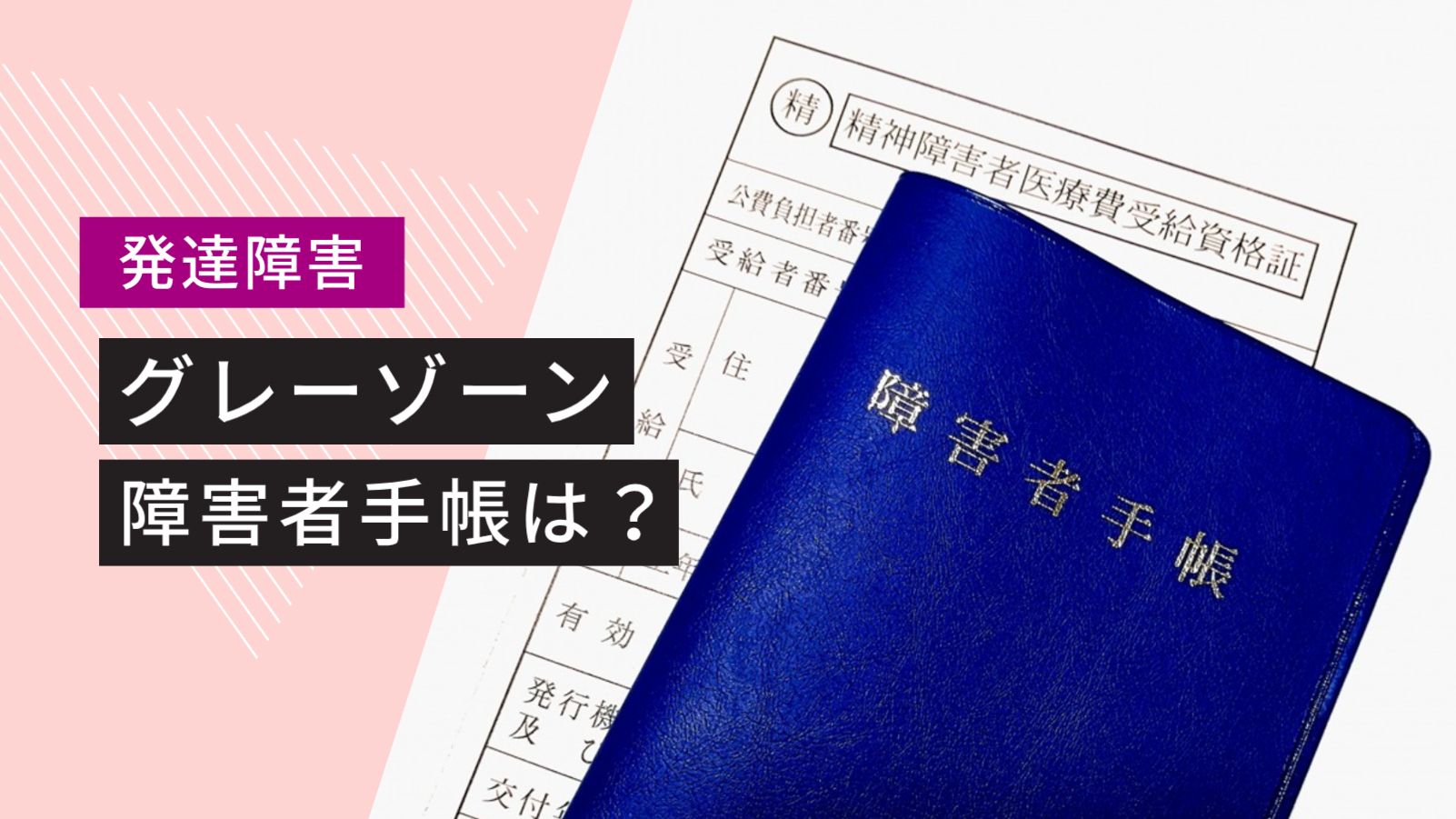 広汎 性 発達 販売 障害 手帳 等級