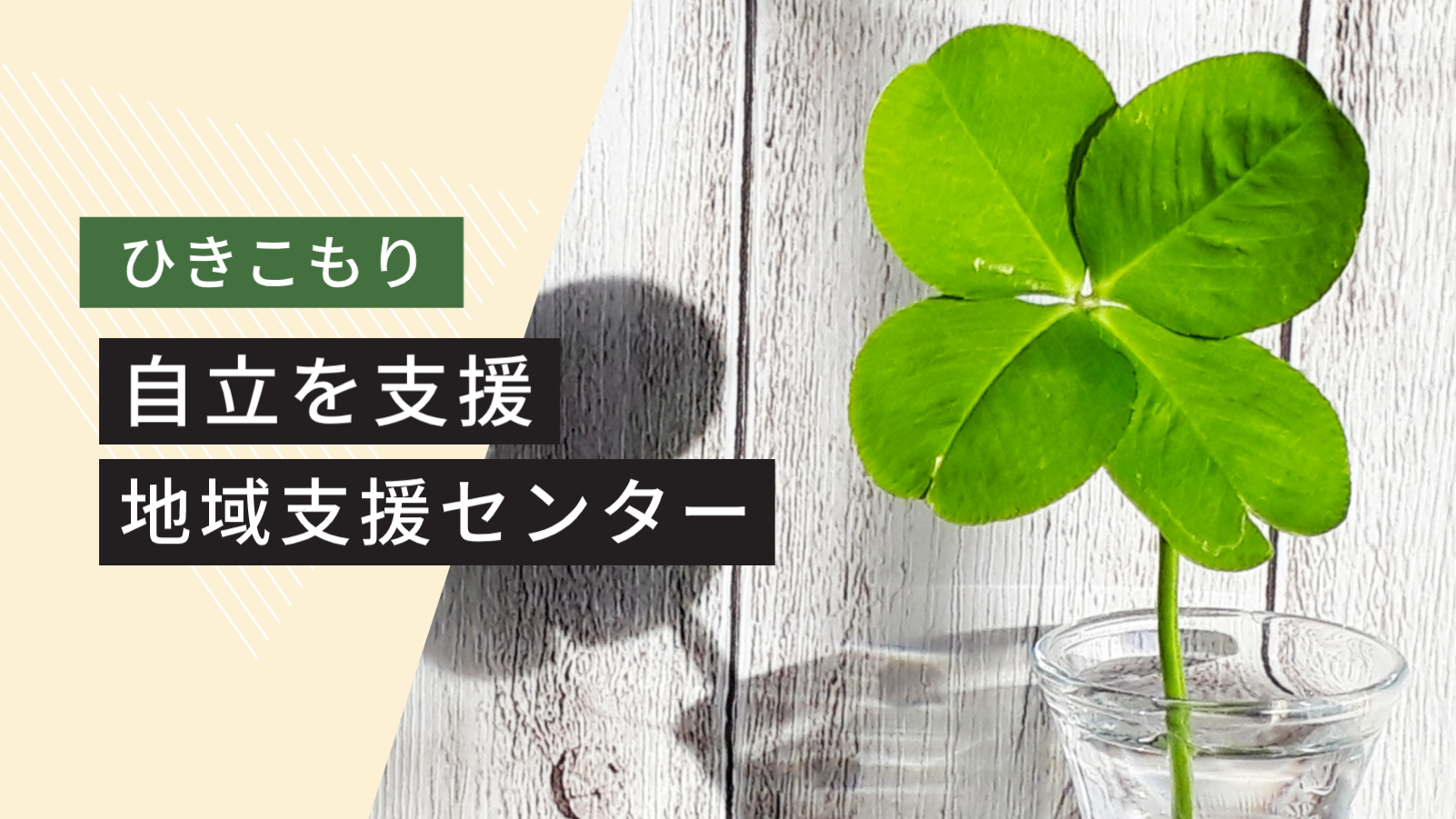 ひきこもりの自立を支援する「ひきこもり地域支援センター」とは