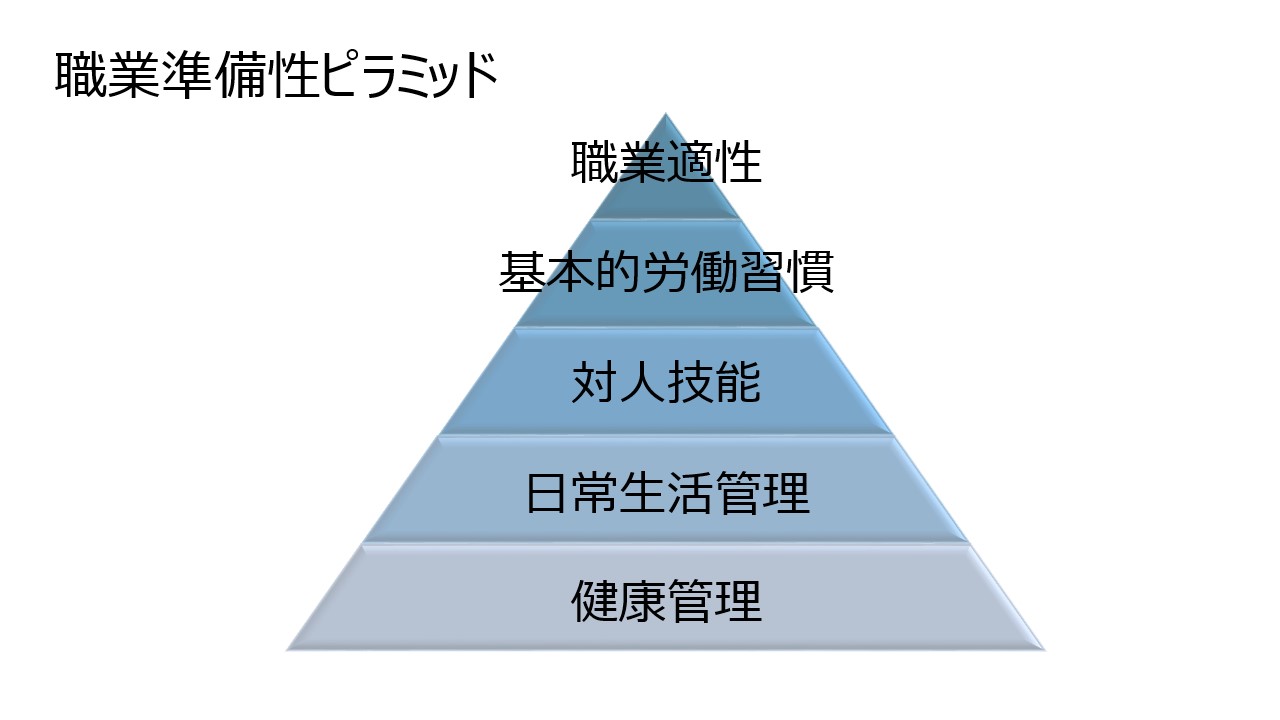 職業準備性ピラミッド 全体