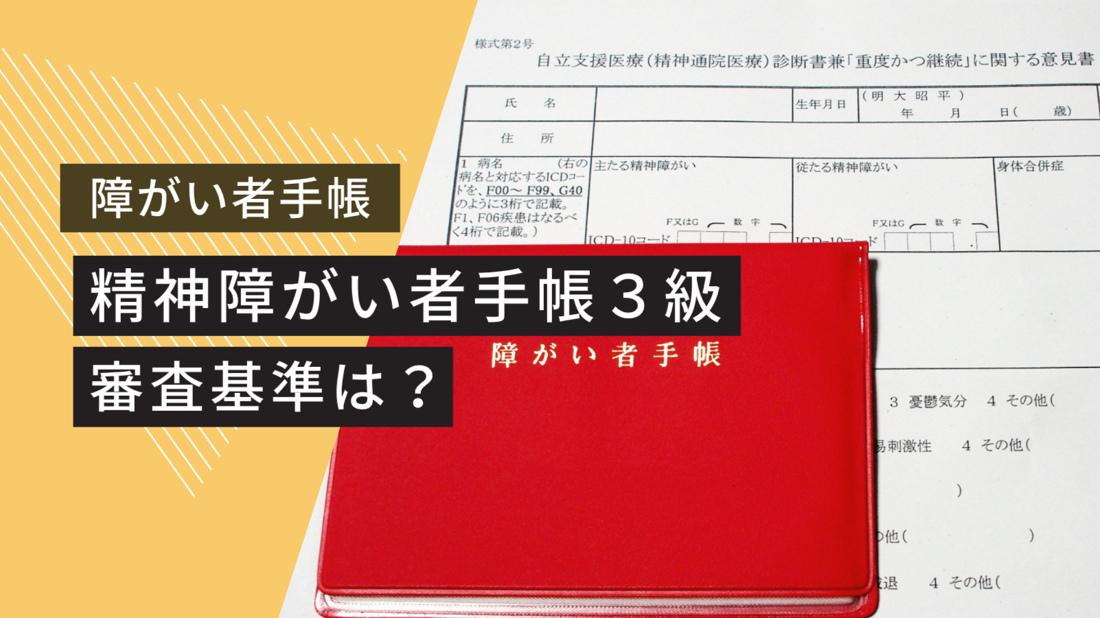 活動歴および当時の関連ビジュアル記録