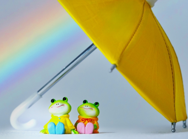 雨宿りするカエルと虹