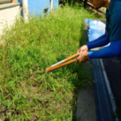 夏から秋に人気な除草作業です。達成感があり、自信にもつながります!